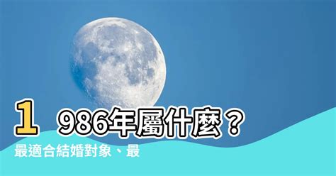 91屬什麼|【91年屬什麼】91年屬什麼生肖？姻緣配對、西元對照一把罩！